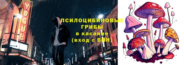 МДПВ Алексеевка