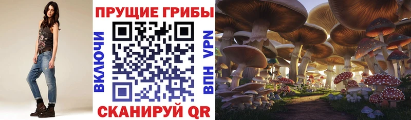 blacksprut ссылка  Абинск  Галлюциногенные грибы прущие грибы 